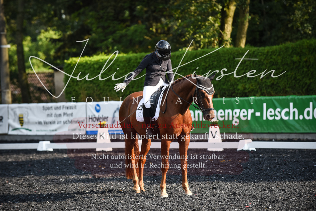 DSC_3276 | Pferde- und Turnierfotografie in Westsachsen. Pferdeportraits, Auftragszeichnungen und intuitive Kunst.