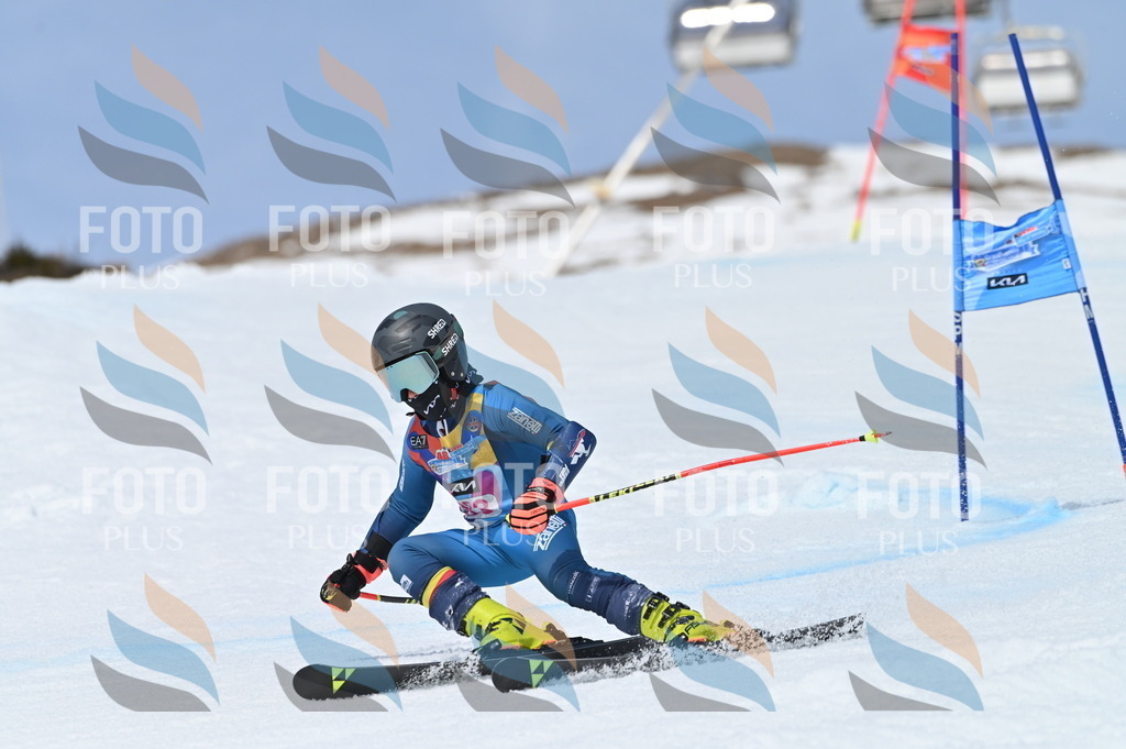 BGV_4238 | holidayphoto