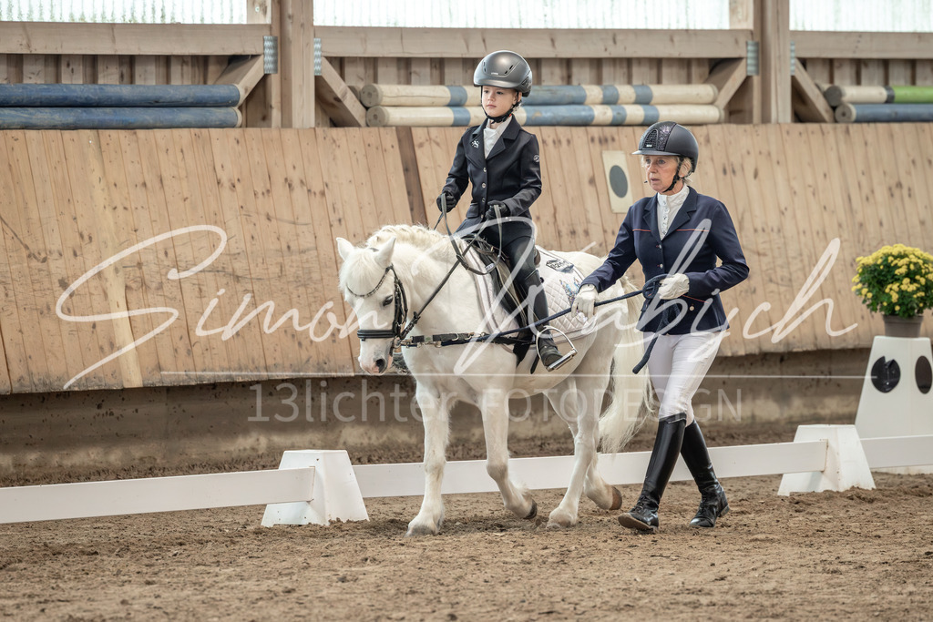 20251011-_3LI8973 | Tierfotografie Pferde, Hunde, Katzen, Haustiere.
Turnierfotografie Reitturniere, Reiten, Springreiten, Dressur in Hanau, dem Main-Kinzig-Kreis und dem Rhein-Main- Gebiet um Frankfurt
