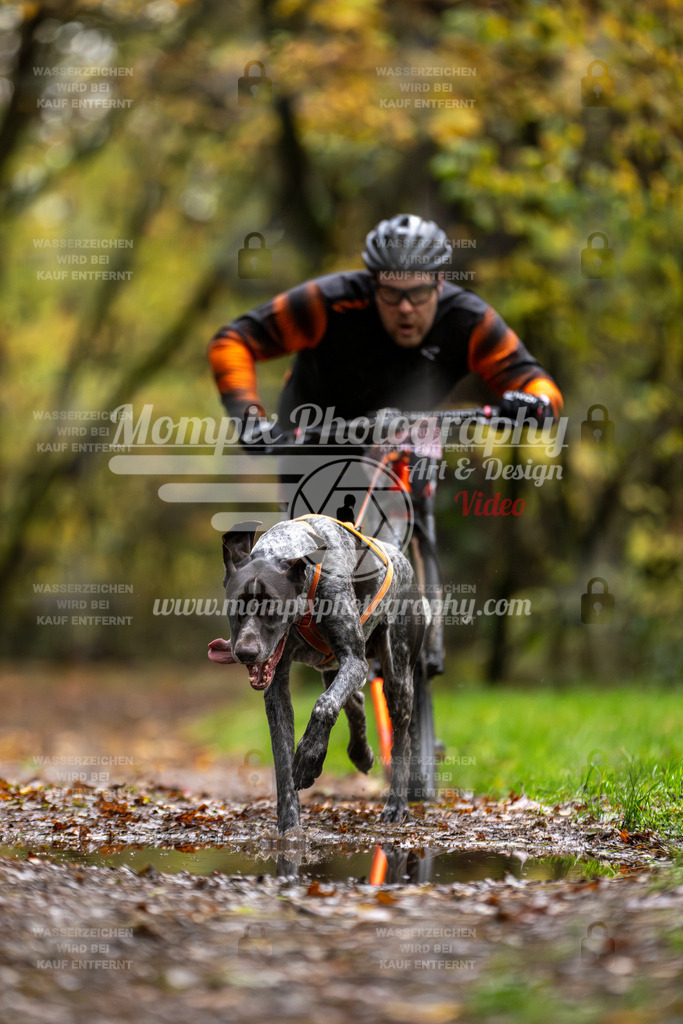 MompixPhotography_Bischwiller23_DS1-1 | PayLife