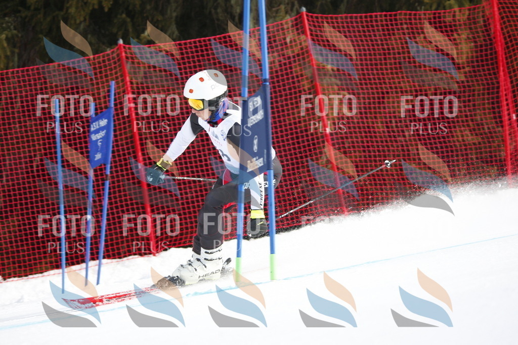 D5981 | holidayphoto