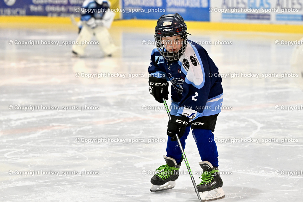 ESC SPARKASSE STEINDORF vs. EHC Althofen | Nachwuchs ESC Steindorf, ESC SPARKASSE STEINDORF vs. EHC Althofen, ESC SPARKASSE STEINDORF vs. EHC Althofen am 06.03.2026 in Steindorf (Ossiachersee Halle), Austria, (Photo by Bernd Stefan)
