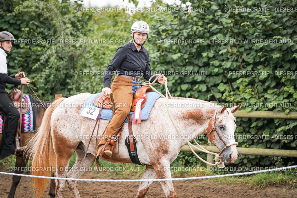 DSC04267 | Pferdegrafie