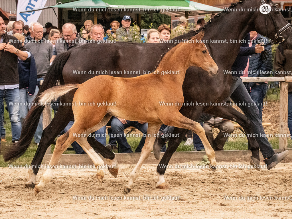 A10I1432 | photographylinaismer - Realisiert mit Pictrs.com