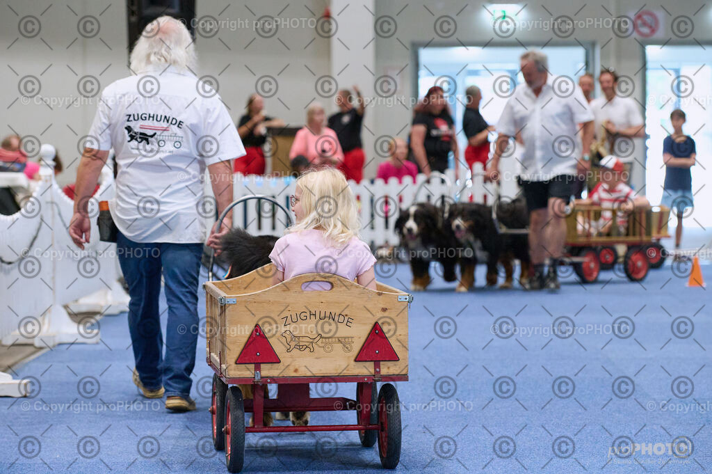 202406_ÖKV-IHA-Tulln24_DSC_4675 | proPHOTO - Realisiert mit Pictrs.com