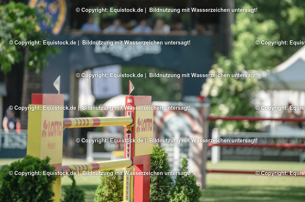 DSC_1169 | equistock