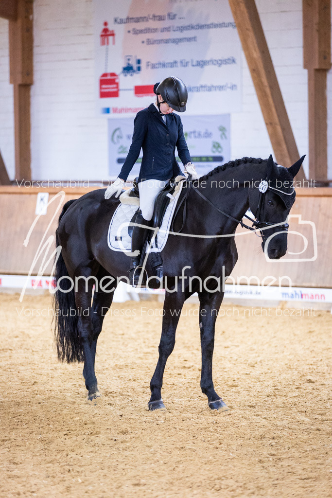 Sth-A-Dre-2St-110 | MomenTaufnahmen Pferdesportfotos