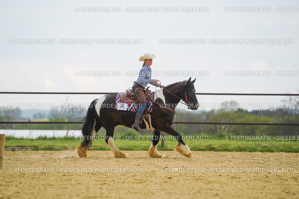 DSC08034 | Pferdegrafie