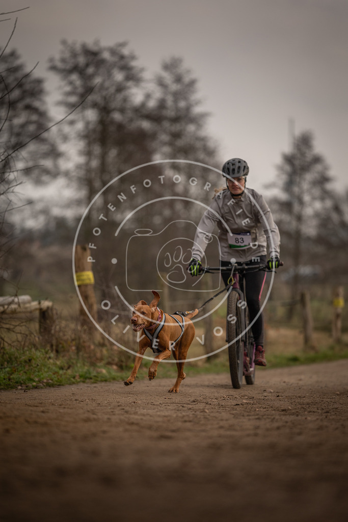 Pfotenfotografie_DV3A4013 | Hundefotografie, Tierfotograf, Pfotenfotografie, Fotoshooting Hund, Hunde Portrait, Hundesport, Hundeportraits, Heideshooting, Hunde, Sportfotograf, Hundefotograf, Turnierhundsport, THS,  - Realisiert mit Pictrs.com