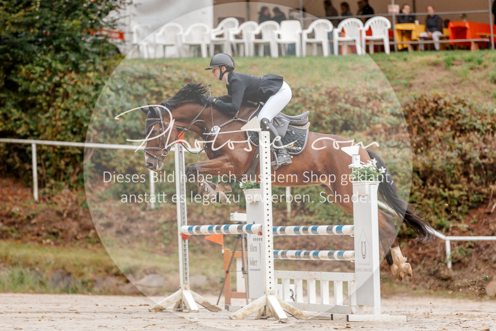 3I6A5566 | Stimmungsvolle Portraits und Reitsportfotografie im Ruhrgebiet und im Münsterland.

Pferdefotografie, Hundefotografie, Tierfotografie, Reportagen, Portraits von Tier und Mensch, Turnierfotografie in Bochum, Recklinghausen, Marl, Haltern am See, Dülmen.. - Realisiert mit Pictrs.com