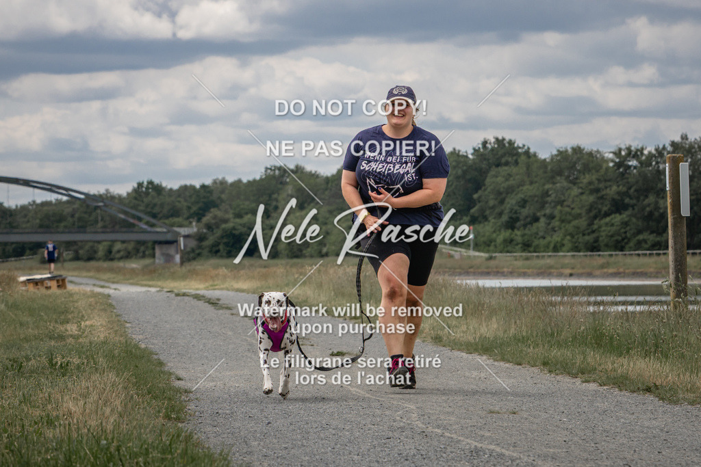 nelerasche_BuHu2026_SaCC1100-1200_267 | nelerasche