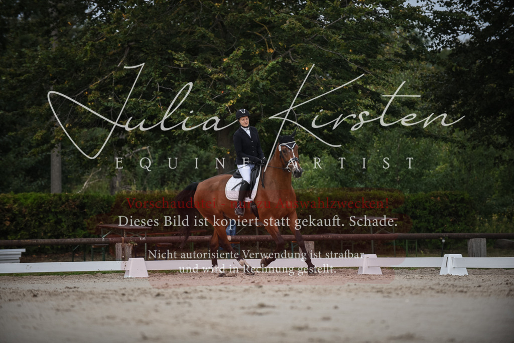DSC_8076 | Pferde- und Turnierfotografie in Westsachsen. Pferdeportraits, Auftragszeichnungen und intuitive Kunst.