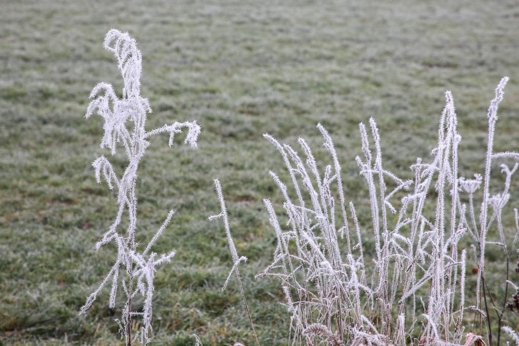 Raureif_Weisten_101222_31 | Bildergalerie von Sport-Ereignissen aber auch von weiteren spannenden Dingen - nicht nur vom Niederrhein. In Anlehnung an den bekannten Spruch von Hanns Dieter Hüsch heißt das Motto: "Niederrhein ist überall".  - Realisiert mit Pictrs.com