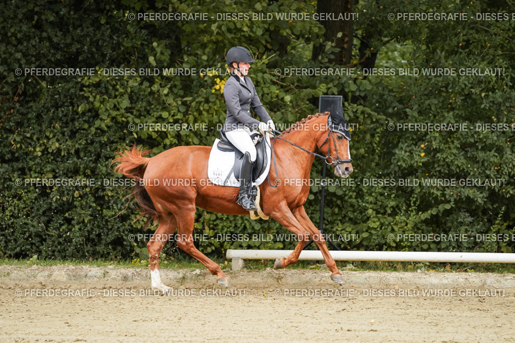 DSC08580 | Pferdegrafie