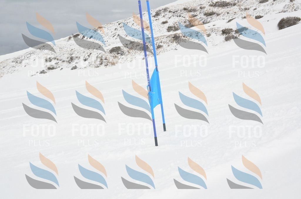 A6236 | holidayphoto