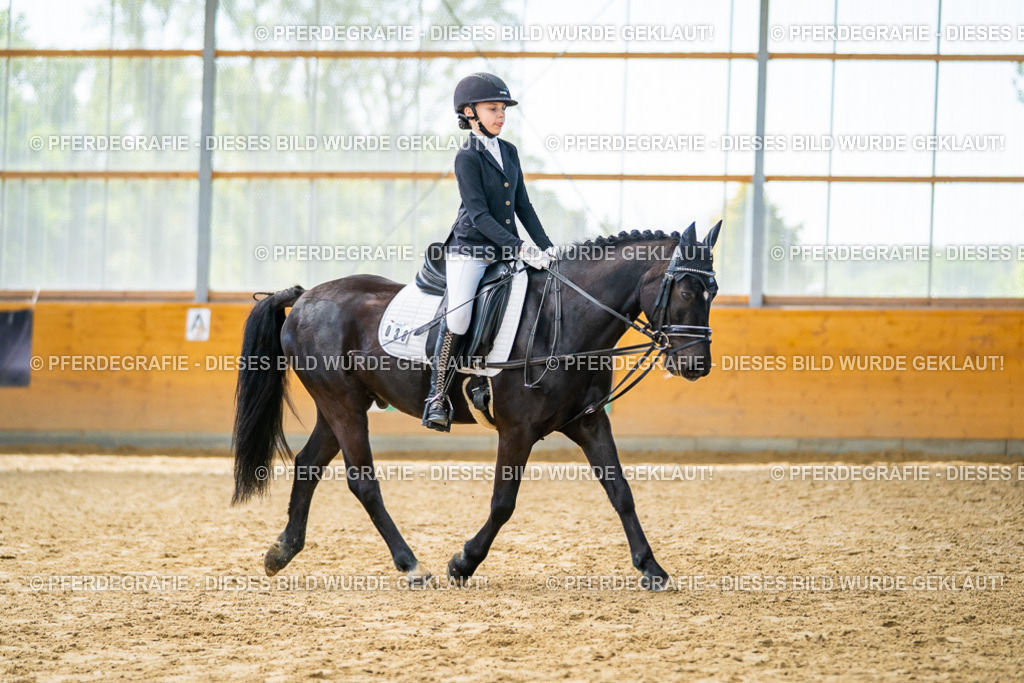 DSC01016 | Pferdegrafie