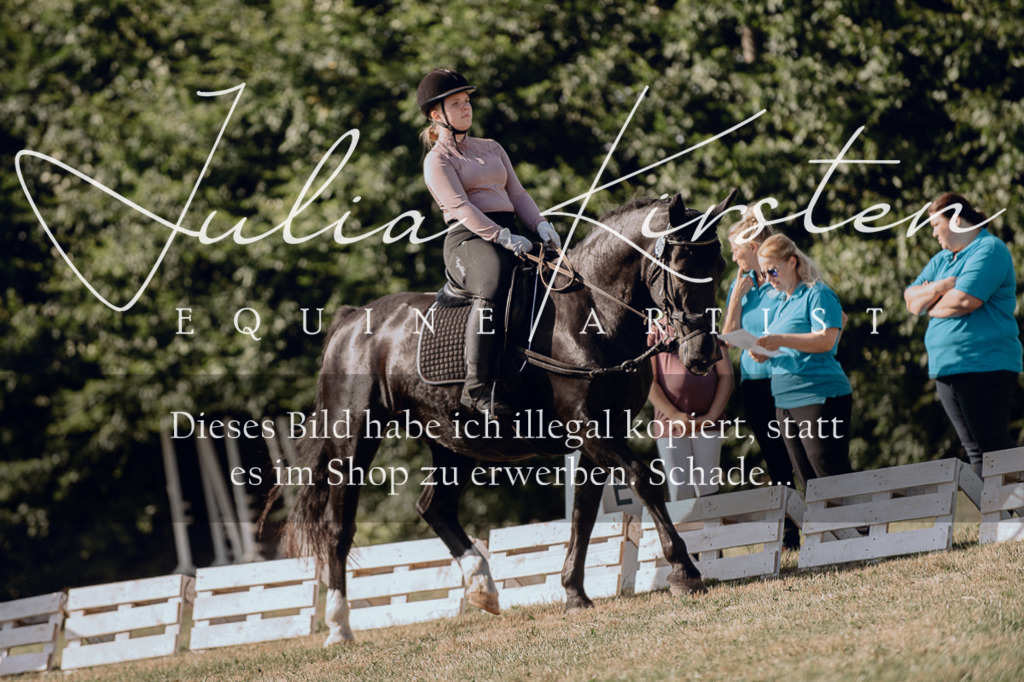 DSC_7088 | Pferde- und Turnierfotografie in Westsachsen. Pferdeportraits, Auftragszeichnungen und intuitive Kunst.