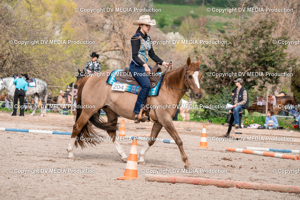 BAL02760 | dv-media-shop - Realisiert mit Pictrs.com