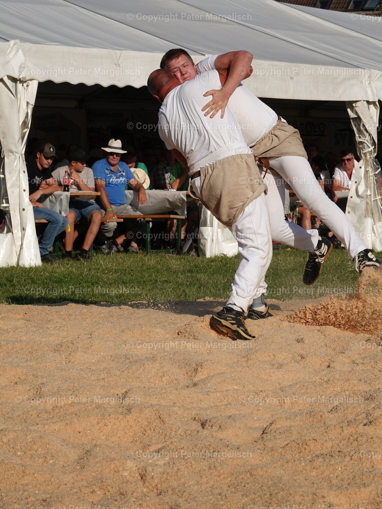 DSC05202 | Schwingen - Realisiert mit Pictrs.com