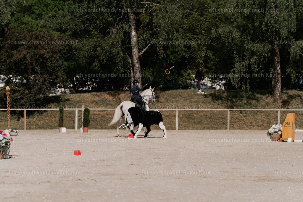 WE_ST_Stoib_328_PI2025_874 | Pferd International München 2025