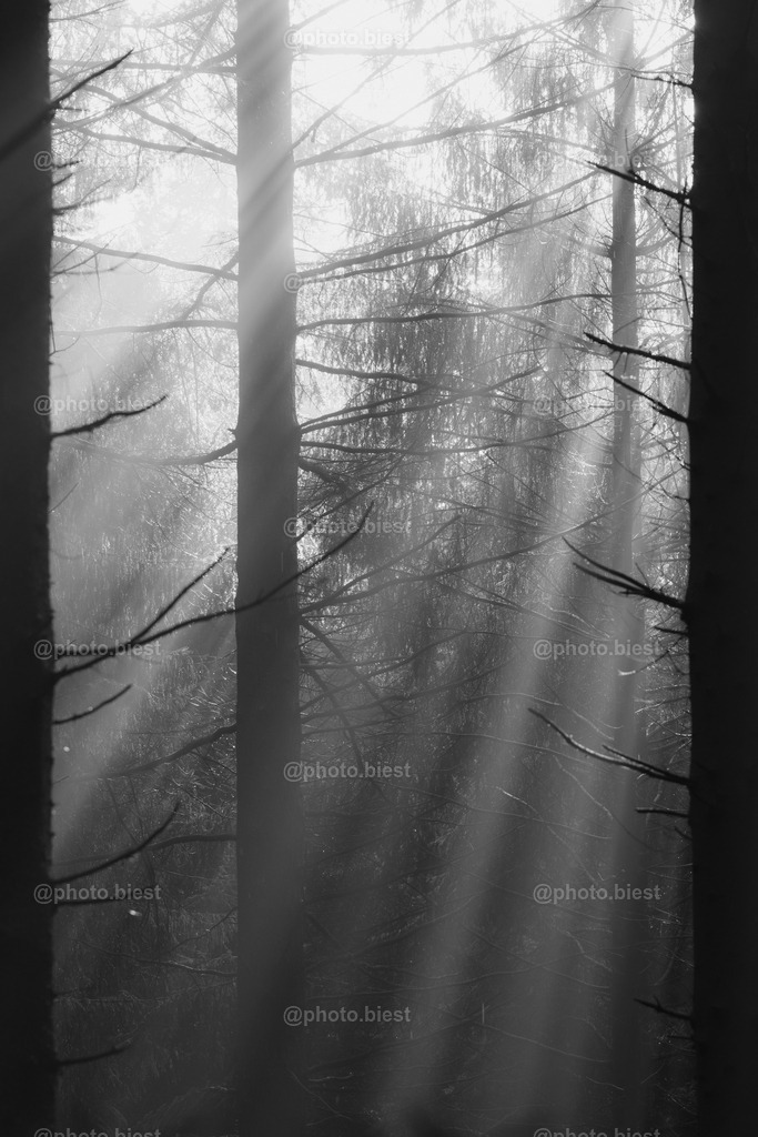 IMGC1879 | photobiest - Realisiert mit Pictrs.com