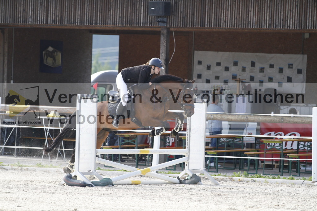 _MG_3100 | equestrian-live-com