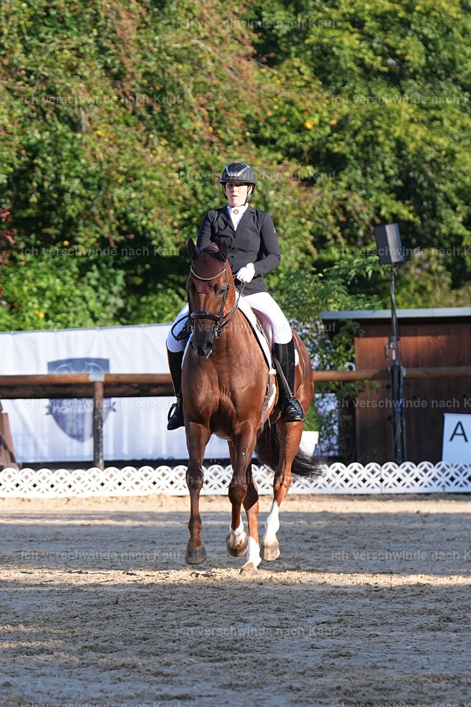 09_1-230-DRESSUR  S_  -Marixx-5661 | working equitationturnier fotograf videograf stoibphotography marixx film working equitation deutschland reitsport turnierfotografie eventfotografie equestrian events
