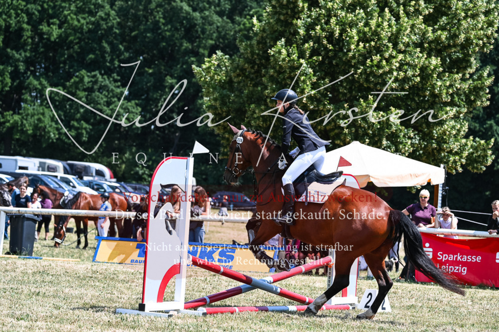 DSC_9884 | Pferde- und Turnierfotografie in Westsachsen. Pferdeportraits, Auftragszeichnungen und intuitive Kunst.