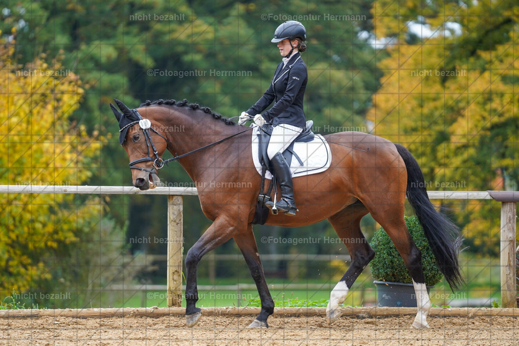 20221008-FAH01631 | Diessen am Ammersee, 2022, Dressur- und Springturnier, Reitsportbilder, Turnierfotografen Bayern, Pferdefotografen, Fotoagentur Herrmann, Turnierbilder
