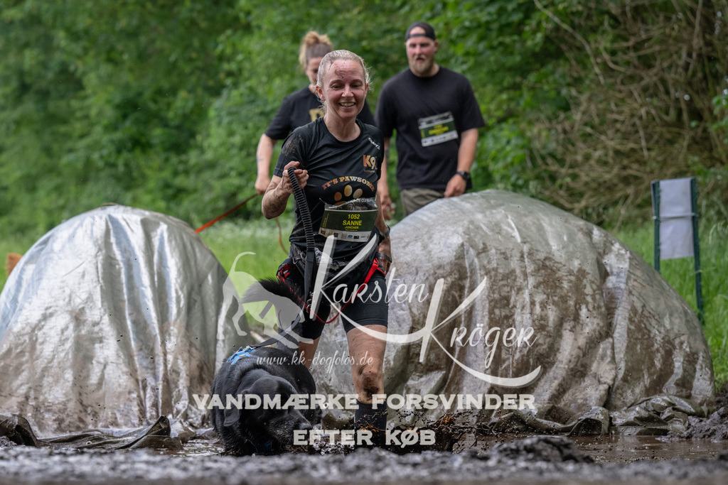 1256_ZZ94259 | kk-dogfotos