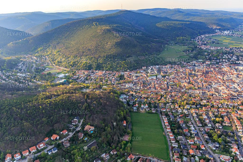 Luftbild: Stadtübersicht aus Süden in Neustadt an der Weinstraße im Bundesland Rheinland-Pfalz in Deutschland. Foto: IMG_106605.jpg vom 17.04.2018 durch Werner Riehm/FLY-FOTO.de