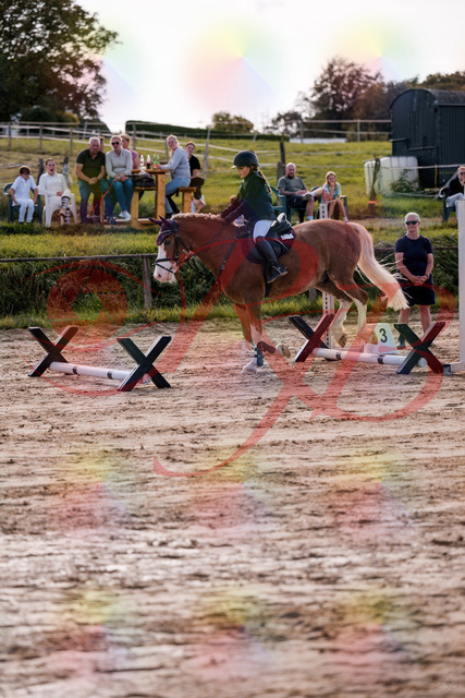 2026_10_03_Siefer-Hof_144453_Z81_19284005 | Professionelle Reitsport-, Turnier- und Eventfotografie von Robert Broda. Galerien mit ausgewählten und bearbeiteten Bildern direkt online ansehen und bestellen.