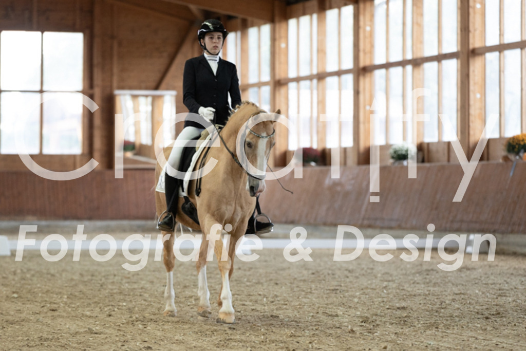 IMG_1285 | Creatify Fotografie