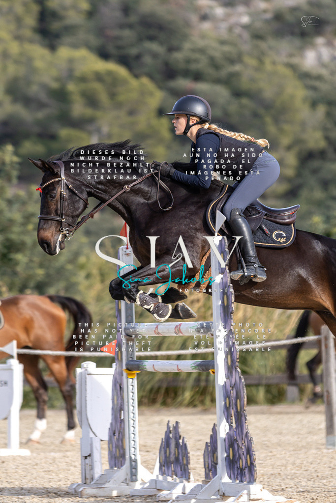 IMG_4429 | s-jay-photography - Realisiert mit Pictrs.com