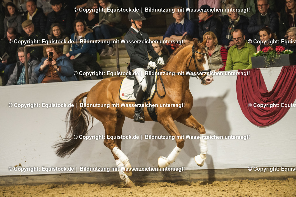 20240302_Hengstvorstellung_Marbach_TOMsPiC_0533 | equistock