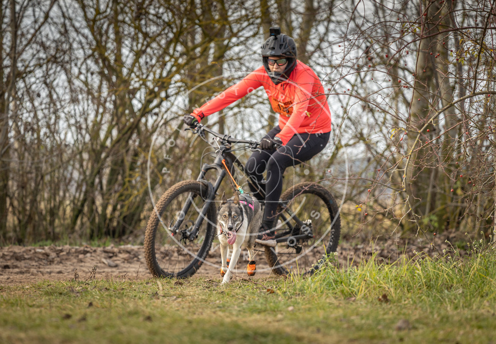 Pfotenfotografie_DV3A8932 | Hundefotografie, Tierfotograf, Pfotenfotografie, Fotoshooting Hund, Hunde Portrait, Hundesport, Hundeportraits, Heideshooting, Hunde, Sportfotograf, Hundefotograf, Turnierhundsport, THS,  - Realisiert mit Pictrs.com