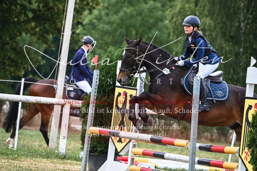 DSC_8227 | Pferde- und Turnierfotografie in Westsachsen. Pferdeportraits, Auftragszeichnungen und intuitive Kunst.