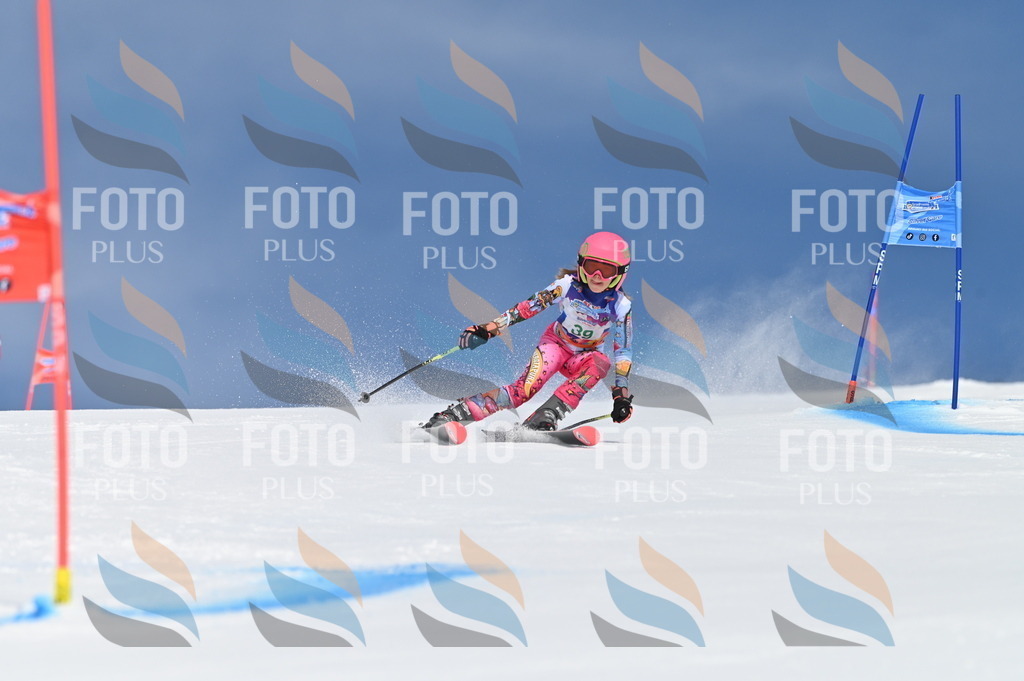 BGV_1076 | holidayphoto