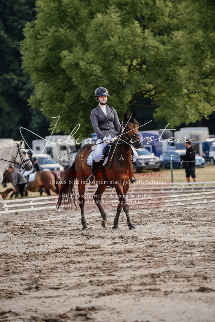 DSC_8284 | Pferde- und Turnierfotografie in Westsachsen. Pferdeportraits, Auftragszeichnungen und intuitive Kunst.
