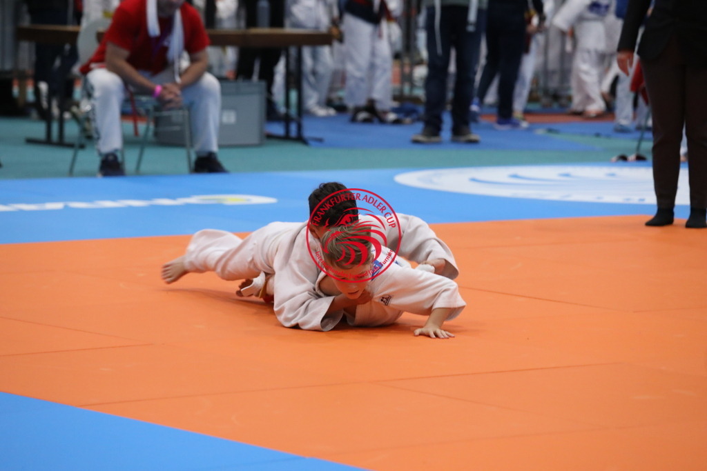 1J7A3151 | Fotos vom Adler Cup - Pictures from Adler Cup

Hier findet Ihr alle Eindrücke und großen Momente der Adler Cup Wochenenden. Here you will find all impressions and great moments of the Adler Cup weekends. - Realisiert mit Pictrs.com