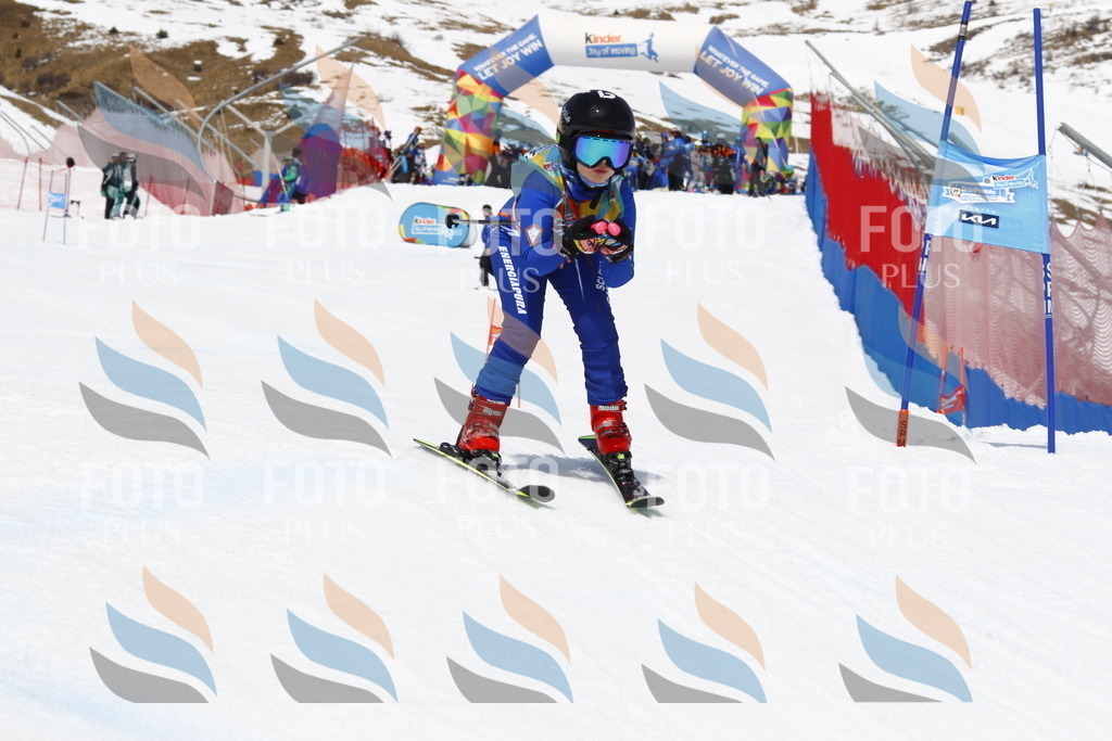 _U3G7853 | holidayphoto