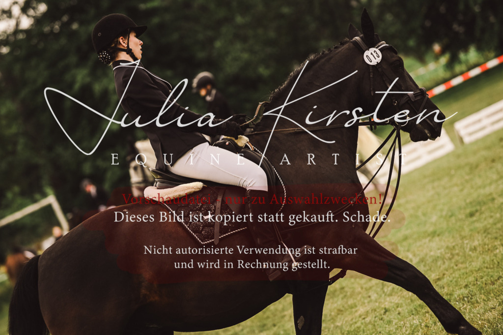 DSC_5004 | Pferde- und Turnierfotografie in Westsachsen. Pferdeportraits, Auftragszeichnungen und intuitive Kunst.