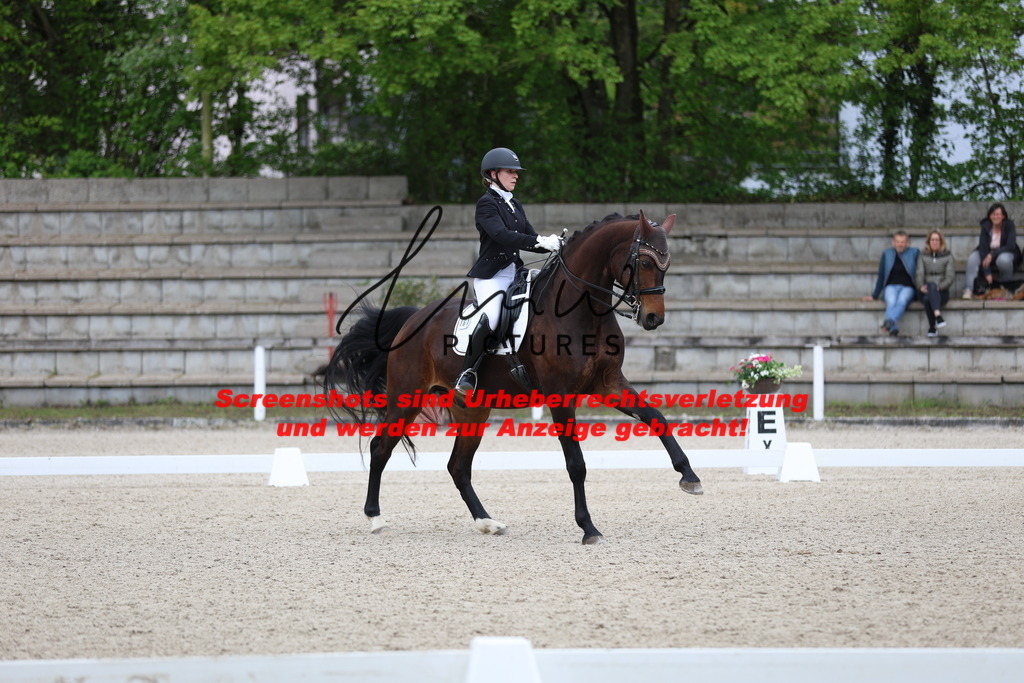 A40A4173 | lmwpictures - Realisiert mit Pictrs.com