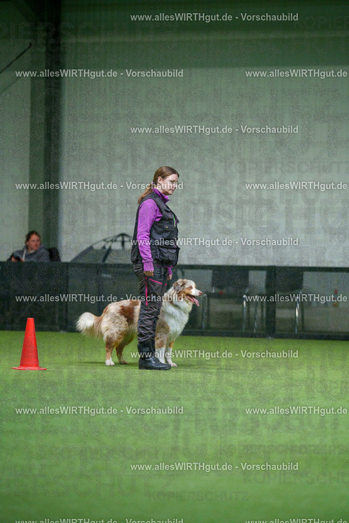 7R503947 | Professionelle Tierfotografie in Mönchengladbach von Daniel Wirth (allesWIRTHgut). Liebevolle & natürliche Bilder von Hunden & Katzen für unvergessliche Erinnerungen.