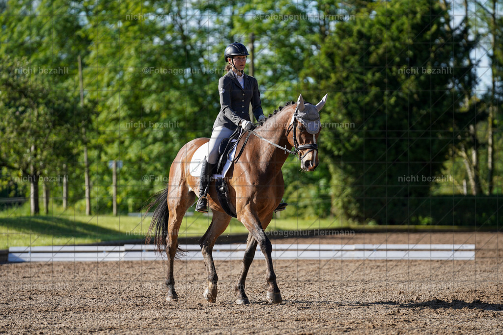 20240519-FAH04326 | Turnierbilder Niederseeon 2024, Vielseitigkeitsdressur, Reitsportbilder aus dem Landkreit Ebersberg, Gut Steinsee, RC Steinsee, Fotoagentur Herrmann