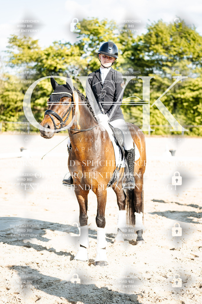 CK703575 | Turnierfotografie Pferdefotografie Trier Rheinland-Pfalz Pferdesport Reitsport Tierfotografie Sportfotografie Pferdevideo Pferdevideografie Equestrianvideography equestrianphotography  - Realisiert mit Pictrs.com