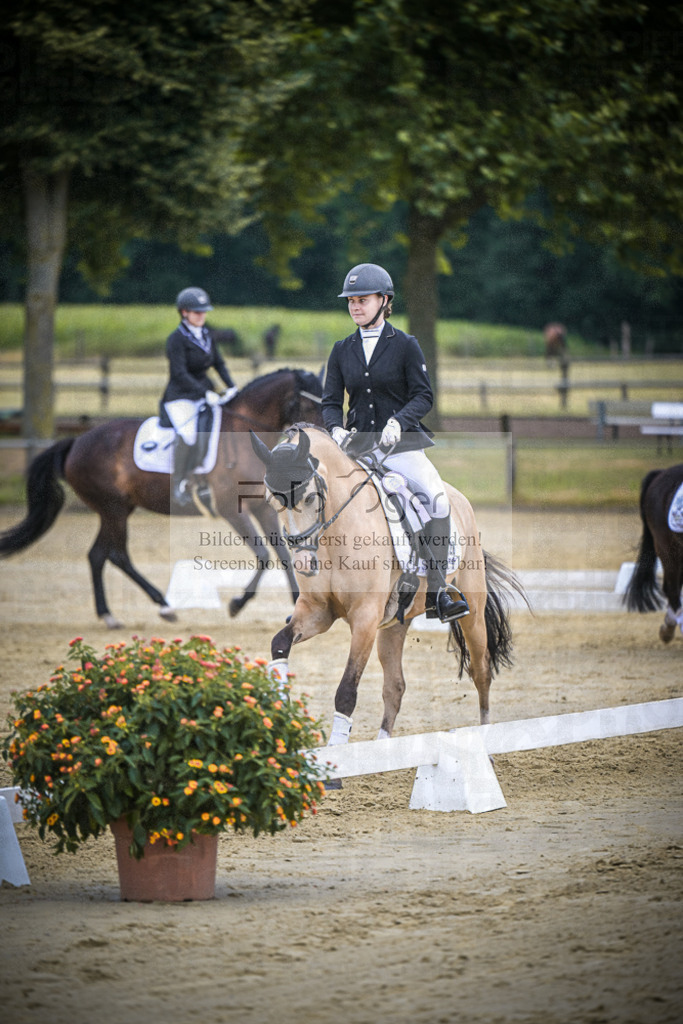 DOS_5052 | Entdecke hochwertige Reitturnierfotos von Foto Oger. Professionell, emotional und authentisch – jetzt Lieblingsmomente im Shop bestellen.Deutschlandweite Turnierfotografie. - Realisiert mit Pictrs.com
