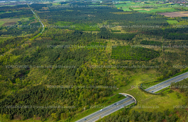 Schermbeck240402091UefterMark | Luftbild, Waldgebiet Üfter Mark, Autobahn A31 mit Grünbrücke bzw. Wildbrücke für gefahrlose Überquerung von Wildtieren, Wildwechsel, Altschermbeck, Schermbeck, Münsterland, Nordrhein-Westfalen, Deutschland