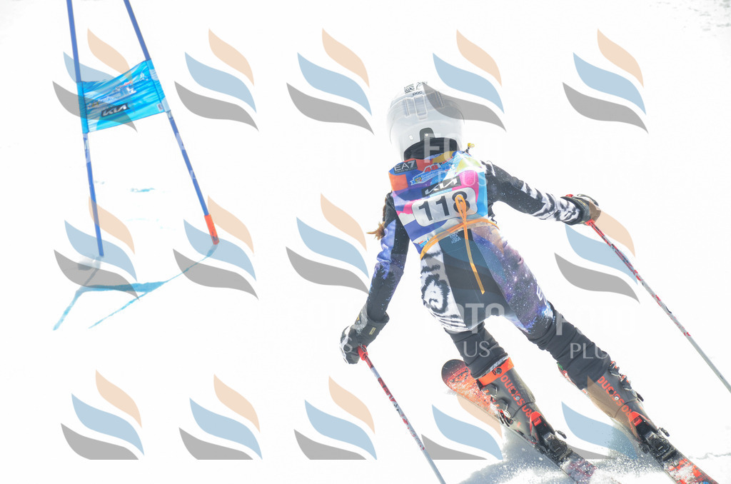 _ELE5989 | holidayphoto