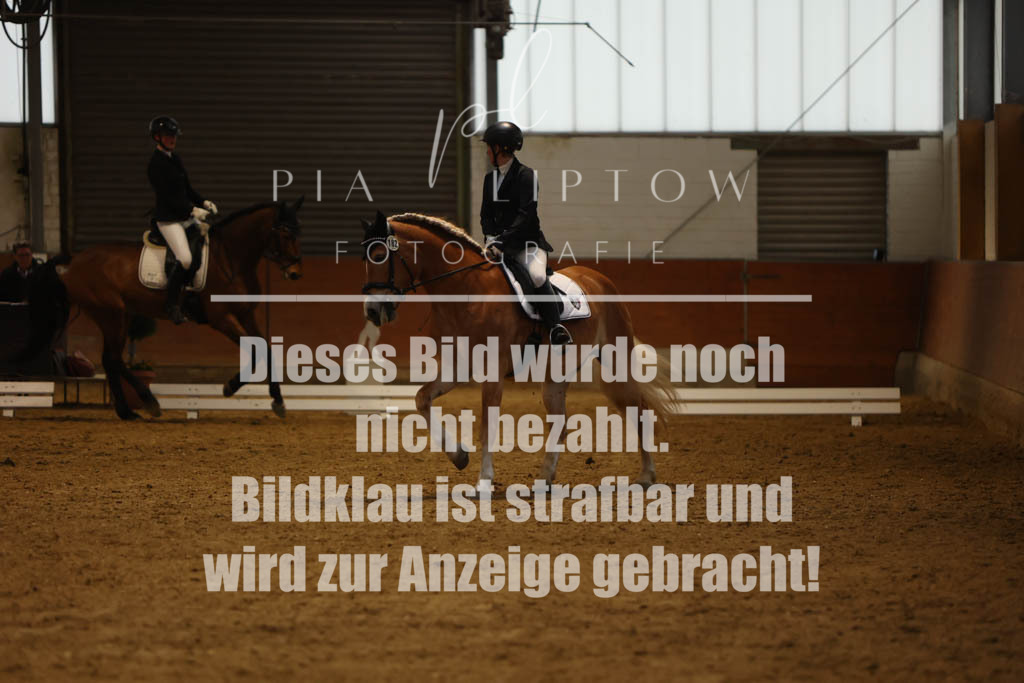 IMGM0335 | pl-fotografie